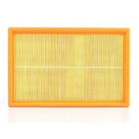 Köp Luftfilter av BSG BSG 90-135-007 till det låga priset 419,93 kr