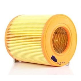 Kjøp Luftfilter av BSG BSG 90-135-016 til den lave prisen 530,10 NOK