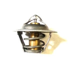 Achetez des Thermostat BUGIAD BSP24724 à prix pour 4,20 €
