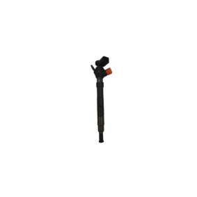 Comprar Inyector de BUGIAD BSP24853 a bajo precio de 535,47 €