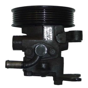 Servopumpe BSS51Y