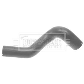 Ansaugschlauch, Luftfilter BTH1061 von BORG & BECK günstig für 20,97 € online kaufen