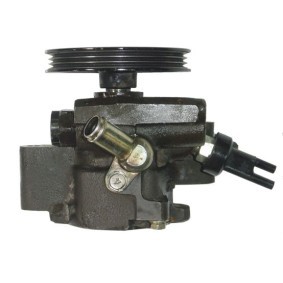 Servopumpe BTY51T