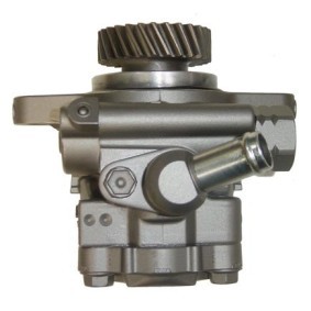 Servopumpe BTY63T
