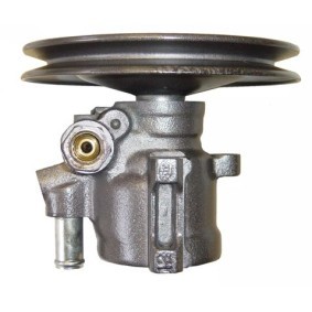 Servopumpe BVL59S