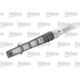 Compre Válvula de expansão do ar condicionado de VALEO online para Astra Mk III (F) CC (T92) a preços moderados