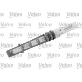 Einspritzdüse, Expansionsventil für FORD von VALEO
