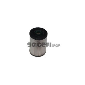 Xenon-Licht des Herstellers FRAM - Originalware Artikelnummer: C10448ECO