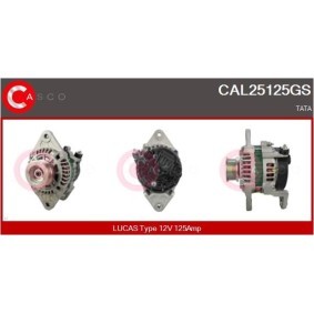 Osta Laturi CASCO:llä CAL25125GS edullisesti hintaan 751,90 €