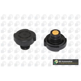 Köp Lock till expansionskärl av BGA CC3000 till det låga priset 194,63 kr