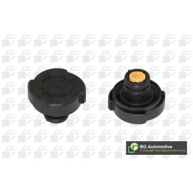 Köp Lock till expansionskärl av BGA CC3001 till det låga priset 134,47 kr