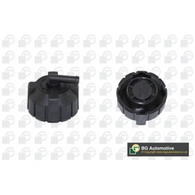 Köp Lock till expansionskärl av BGA CC3039 till det låga priset 82,65 kr
