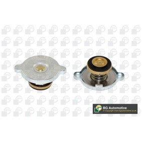 Köp Lock till expansionskärl av BGA CC3049 till det låga priset 87,95 kr