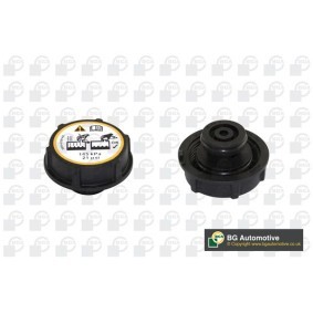 Köp Lock till expansionskärl av BGA CC3060 till det låga priset 58,19 kr