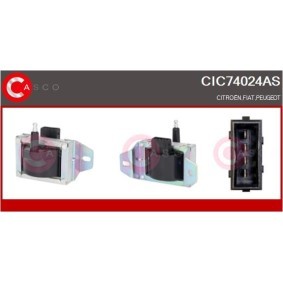 Riemenscheibe, Generator CCP90108AS