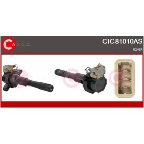 Riemenscheibe, Generator von CASCO