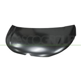 Motorhaube CI2063100