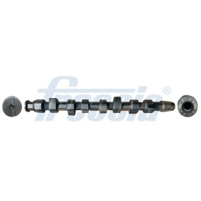 Compre Árvore de cames da FRECCIA CM05-2217 a um preço baixo por 79,05 €