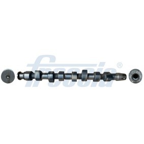 Nockenwelle CM05-2219 von FRECCIA günstig für 90,60 € online kaufen