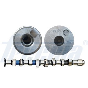 Nockenwelle CM05-2241 von FRECCIA günstig für 89,21 € online kaufen