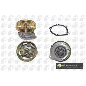 Achetez des Pompe à eau BGA CP18734 à prix pour 35,57 €