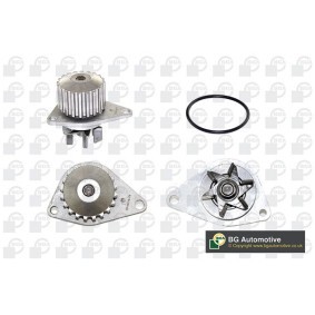 Achetez des Pompe à eau BGA CP2424 à prix pour 74,17 €