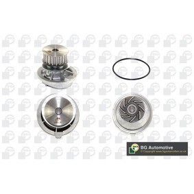 Achetez des Pompe à eau BGA CP2660 à prix pour 81,04 €