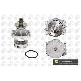 Achetez des Pompe à eau BGA CP2834 à prix pour 29,64 €