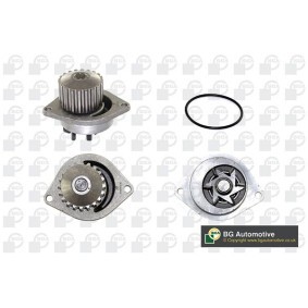 Achetez des Pompe à eau BGA CP2838 à prix pour 79,94 €