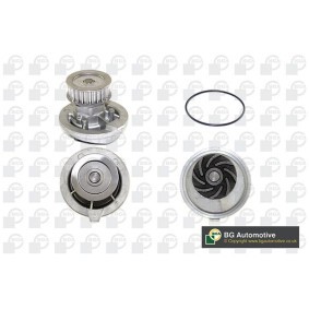 Achetez des Pompe à eau BGA CP2896 à prix pour 22,51 €