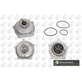 Achetez des Pompe à eau BGA CP2920 à prix pour 85,46 €