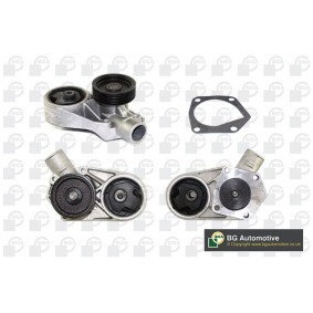 Achetez des Pompe à eau BGA CP3258 à prix pour 30,34 €