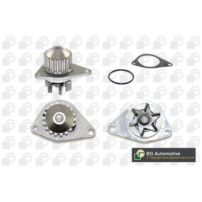 Achetez des Pompe à eau BGA CP3358 à prix pour 32,40 €