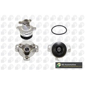 Achetez des Pompe à eau BGA CP3502 à prix pour 39,68 €