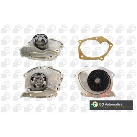 Achetez des Pompe à eau BGA CP3920 à prix pour 98,07 €