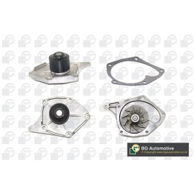 Achetez des Pompe à eau BGA CP4264E à prix pour 27,21 €