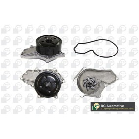 Achetez des Pompe à eau BGA CP4302E à prix pour 55,05 €