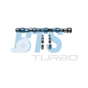 Nockenwelle von BTS TURBO für Carlton Mk2 Limousine günstig online kaufen