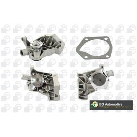 Achetez des Pompe à eau BGA CP7108T à prix pour 96,91 €