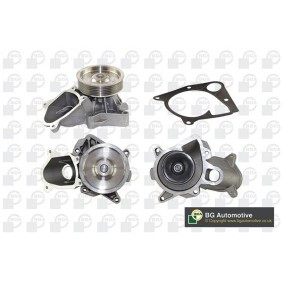 Achetez des Pompe à eau BGA CP7206T à prix pour 110,91 €