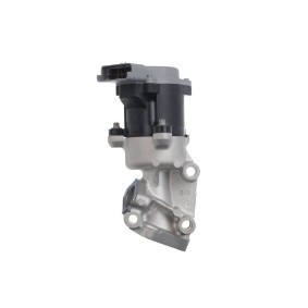 Acquista Valvola EGR da VALEO 700410 a buon mercato per soli 268,12 €