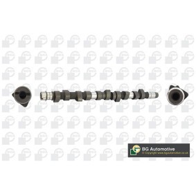 Nockenwelle CS3381