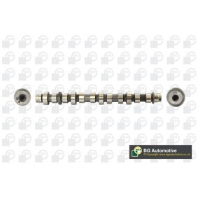 Nockenwelle CS3554 von BGA günstig für 229,43 € online kaufen