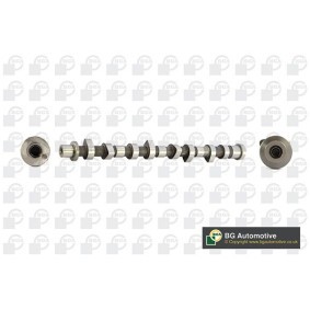 Nockenwelle für NISSAN von BGA