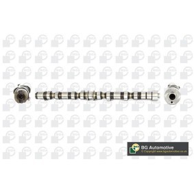 Nockenwelle CS9504
