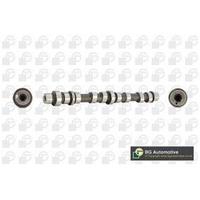 Nockenwelle CS9525 von BGA günstig für 154,21 € online kaufen