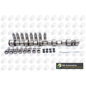 Nockenwellensatz CS9739FK von BGA günstig für 168,98 € online kaufen