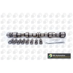 Nockenwellensatz CS9739K von BGA günstig für 171,04 € online kaufen