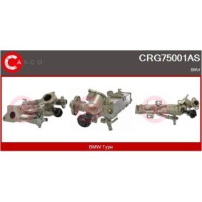 Achetez des Pompe de direction assistée CASCO CSP67102GS à prix pour 514,42 €