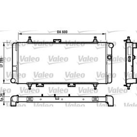Achetez des Radiateur du moteur VALEO 730595 à prix pour 132,77 €